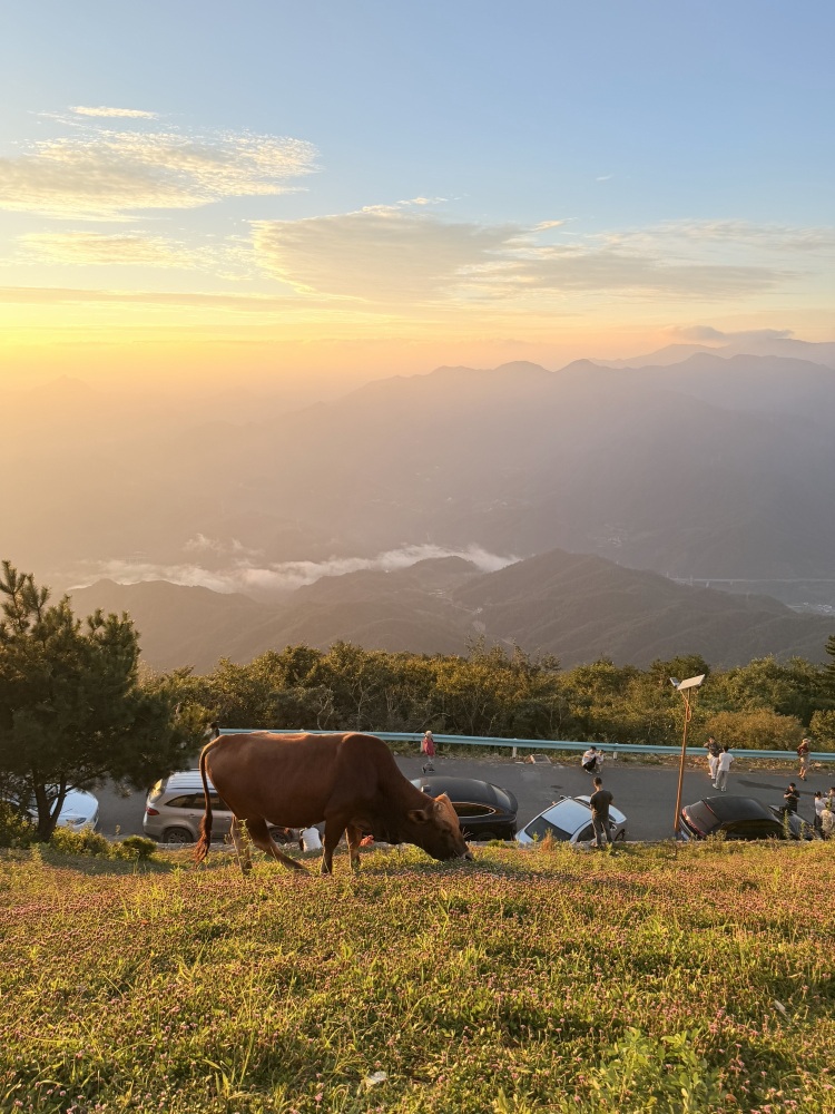 牛草山风景区景点图片