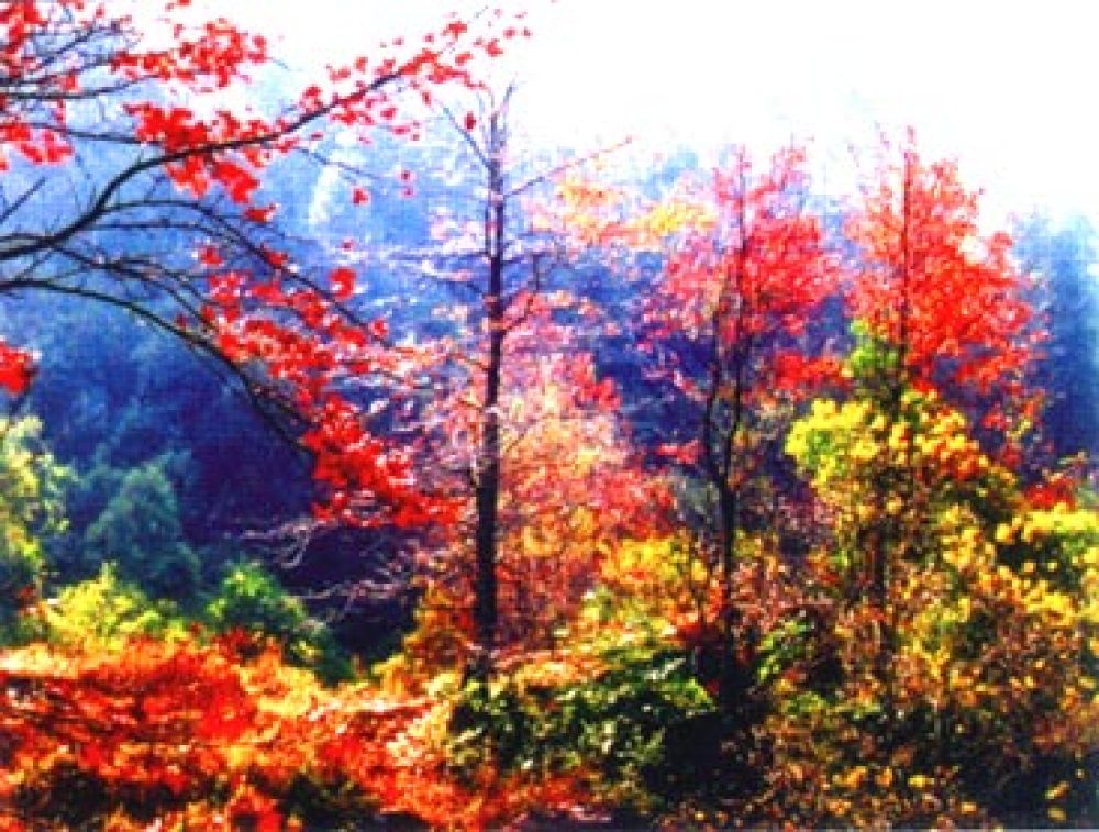云髻山省级自然保护区景点图片