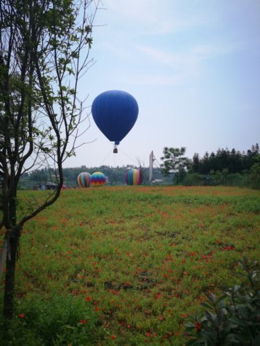 邵阳市新塘花海旅行图片 1