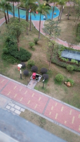 怀集植物园旅行图片 1