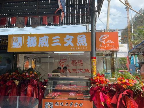 鹏通挪威三文鱼(海花岛店)