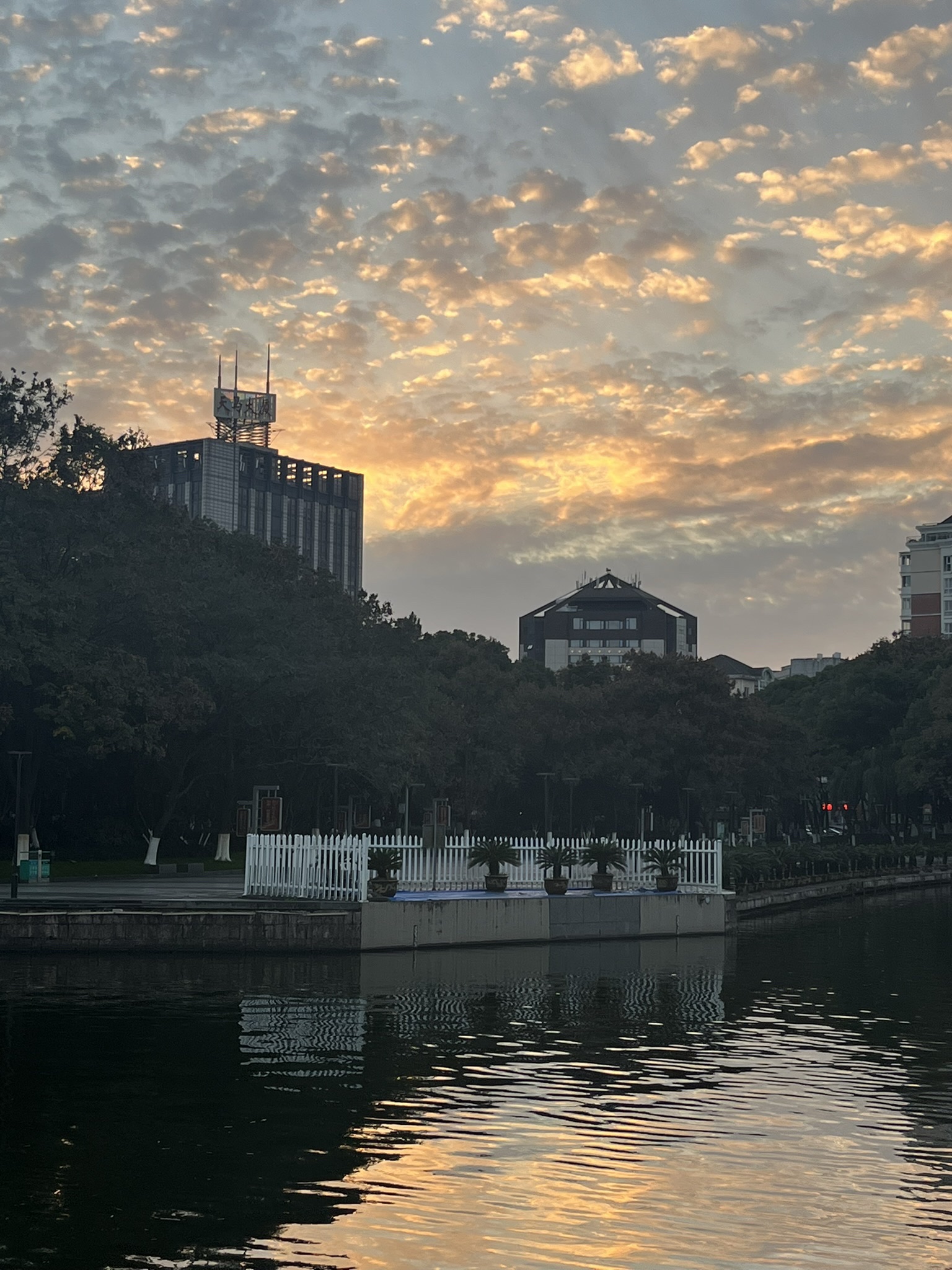西岸公园