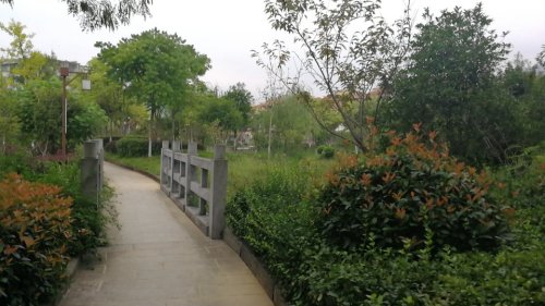 凤凰湖公园旅行图片 3