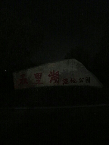 五里湖湿地公园旅行图片