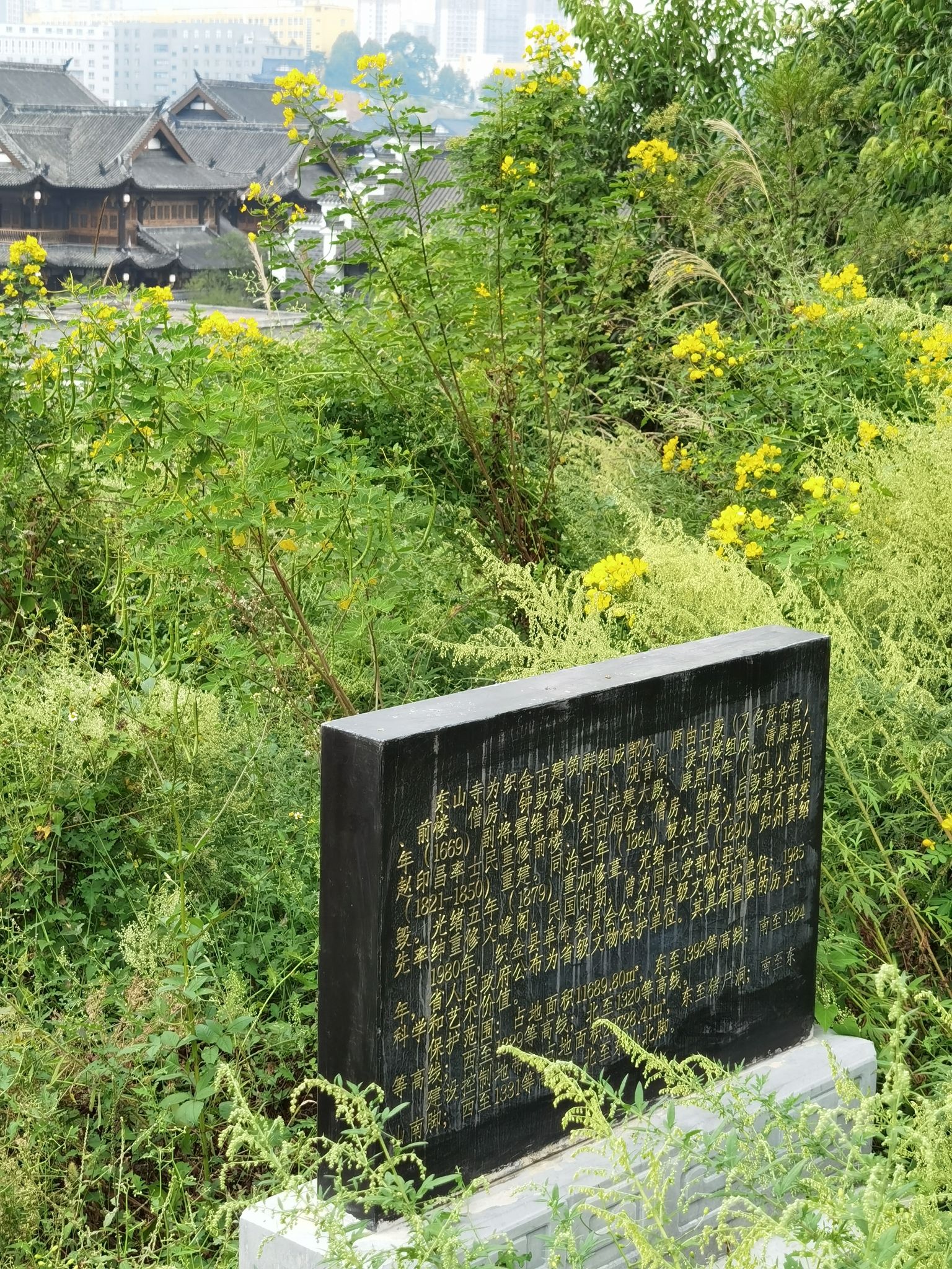 东山寺实景照片