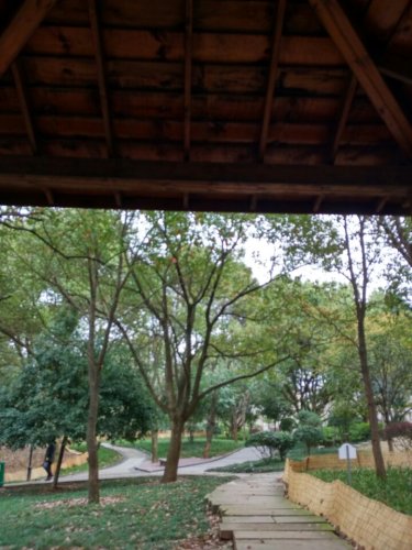 青春公园旅行图片 2