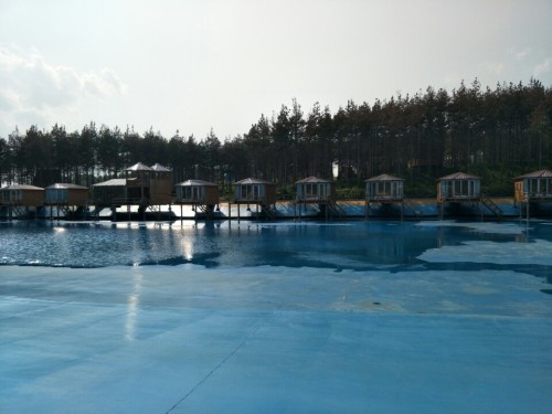 北纬44度·金珠花海休闲农业旅游景区旅行图片 2