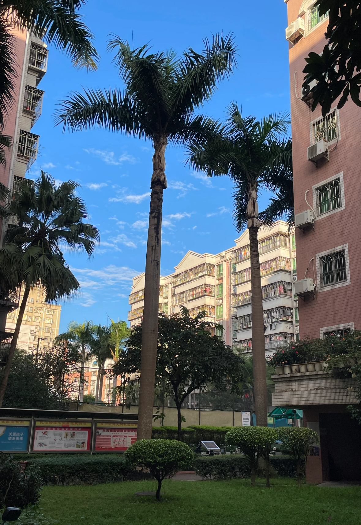滢水山庄二区 - 深圳市龙华区 - 商务住宅;住宅区;住宅小区 | 地址营业时间 | 高德地图