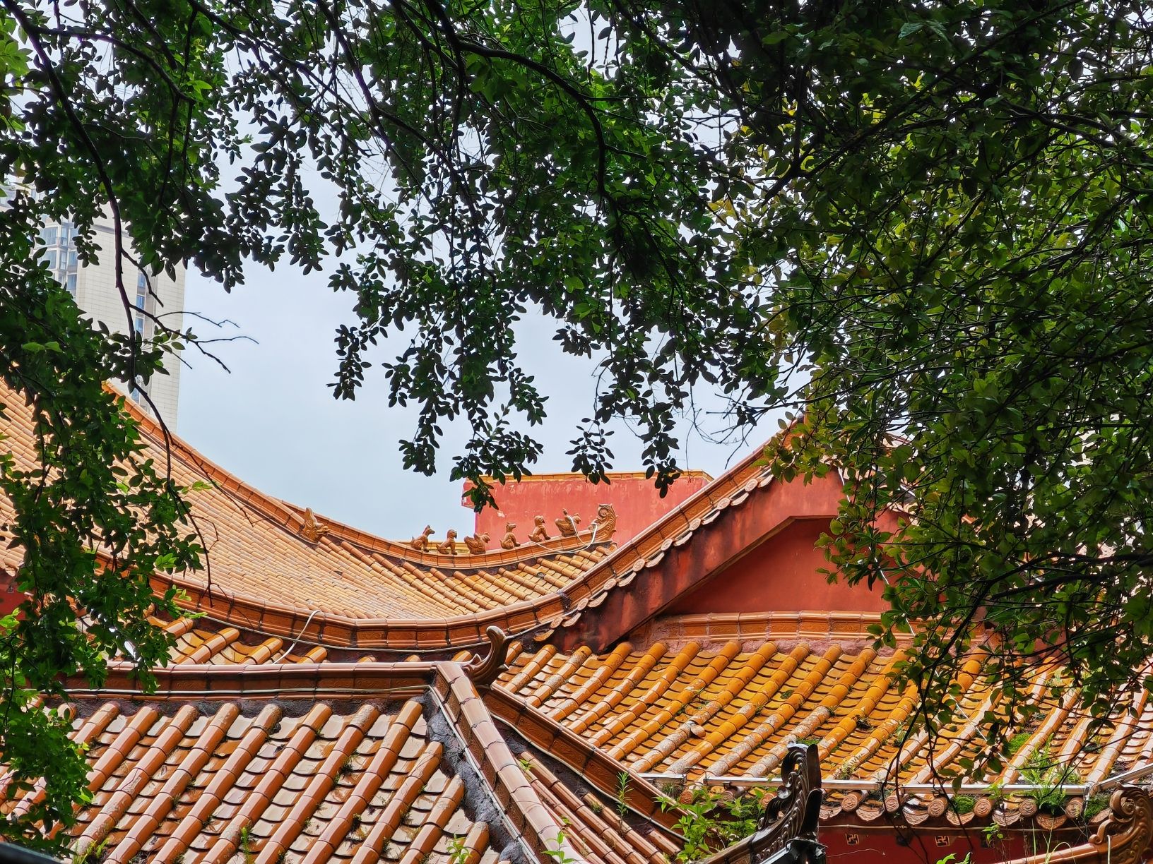 大佛禅寺实景照片