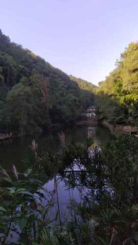 孔雀谷旅行图片 3