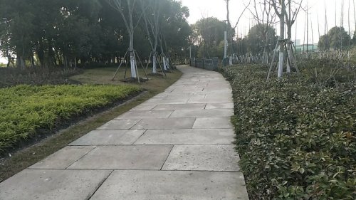 苏州市吴江区平望莺脰湖生态公园旅行图片 1