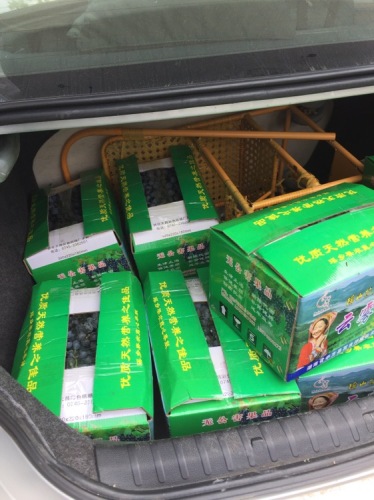 中国南方葡萄沟旅行图片 2