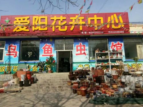爱阳花卉观光基地旅行图片 2