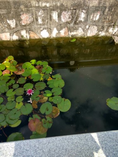 施耐庵公园旅行图片 1