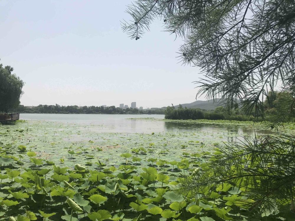 云龙湖景区景点图片