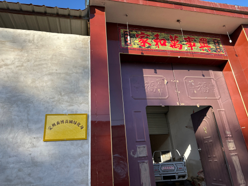 定州森博苗圃绿化场