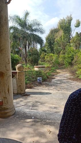吴嵩喜纪念公园旅行图片 1