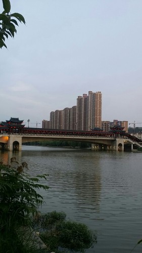 浮桥(永宁路)旅行图片 1