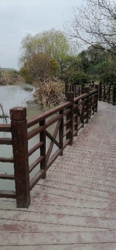 新桥村五四公园旅行图片 2