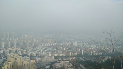 东山公园旅行图片 3