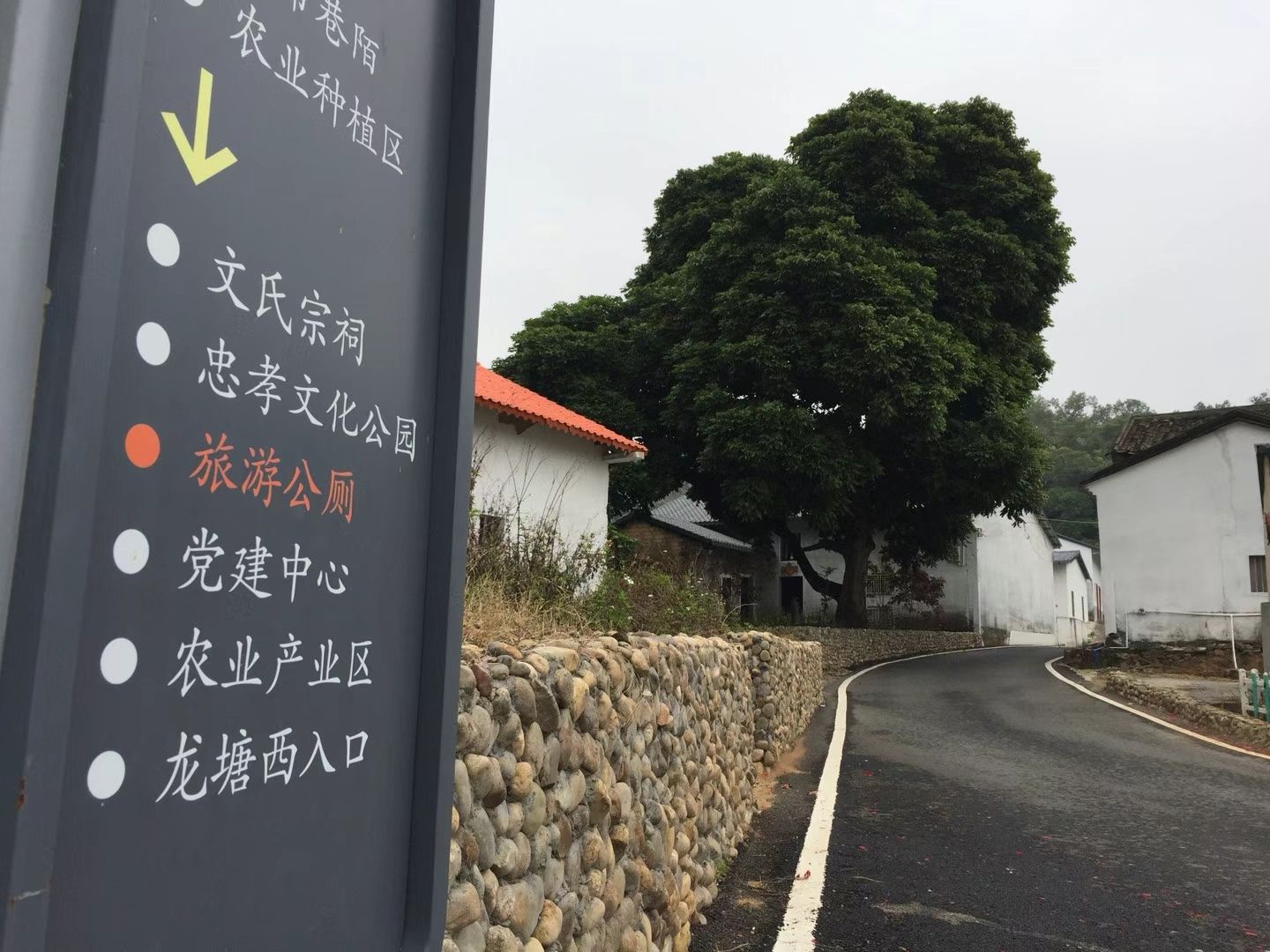 文氏宗祠实景照片