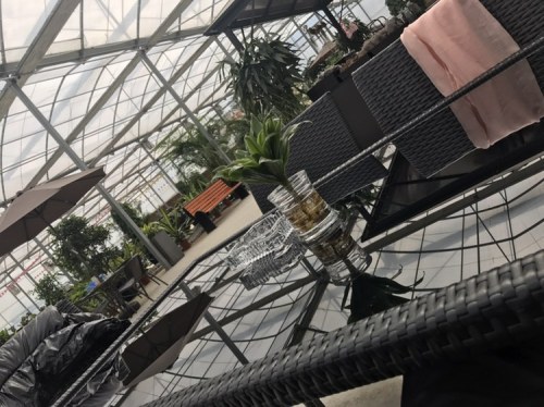苏州华城多肉植物园旅行图片 2