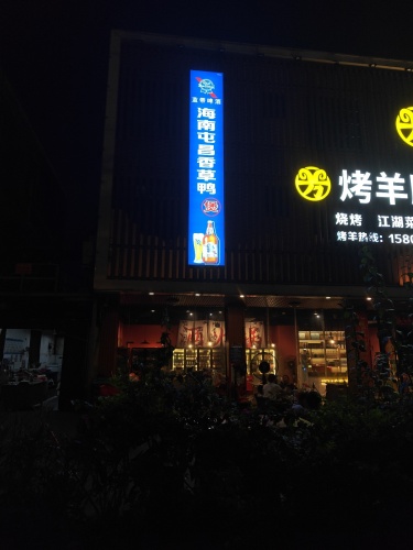 海南屯昌香草鸭煲