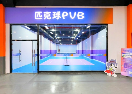 匹克球PVB