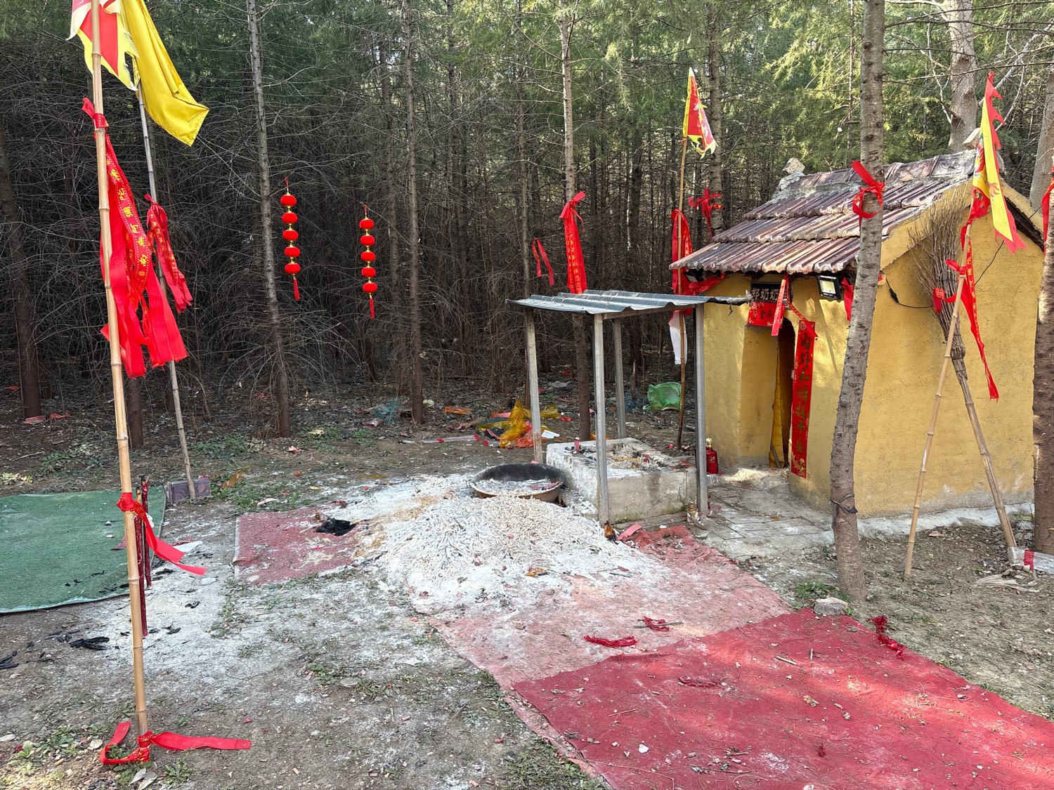 郑奶奶庙实景照片
