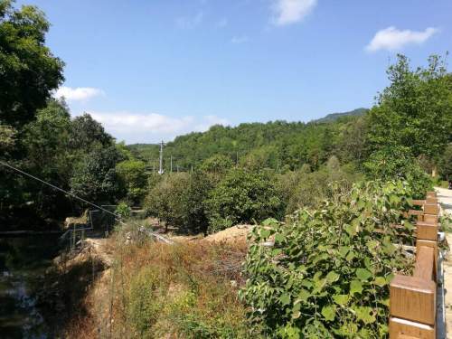 乌龙山桂花大观园旅行图片 1