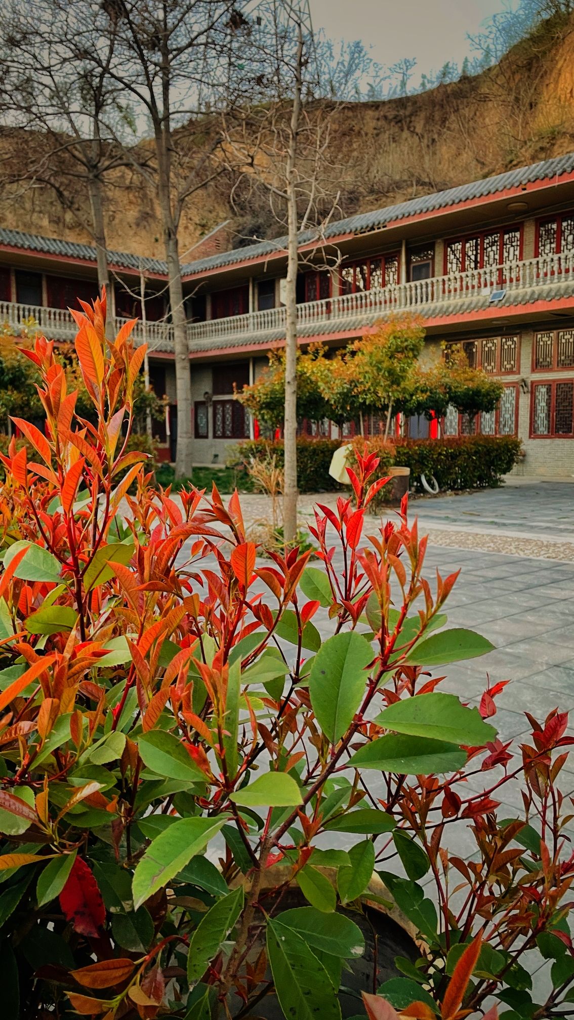 巩义市龙王庙实景照片