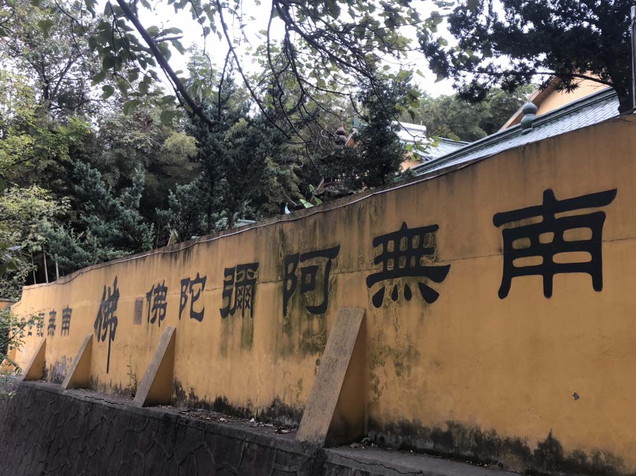 阳山火山地质公园-清水洞观音寺实景照片
