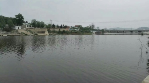 古莲花卉公园旅行图片 2