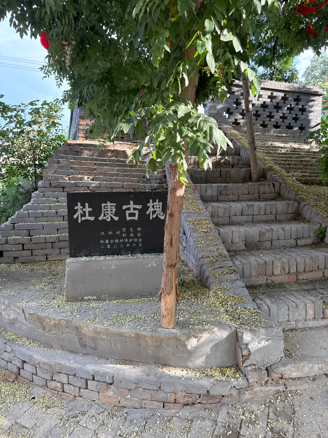 杜康古槐观音庙实景照片