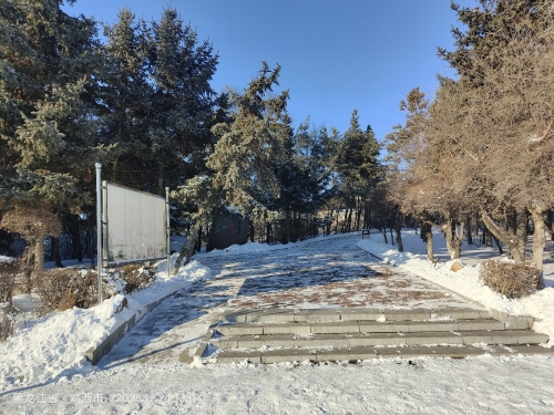 青山公园