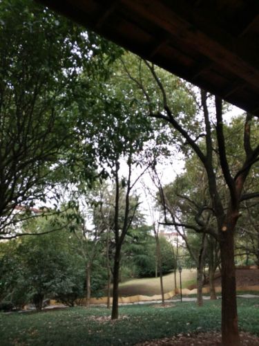 青春公园旅行图片 1