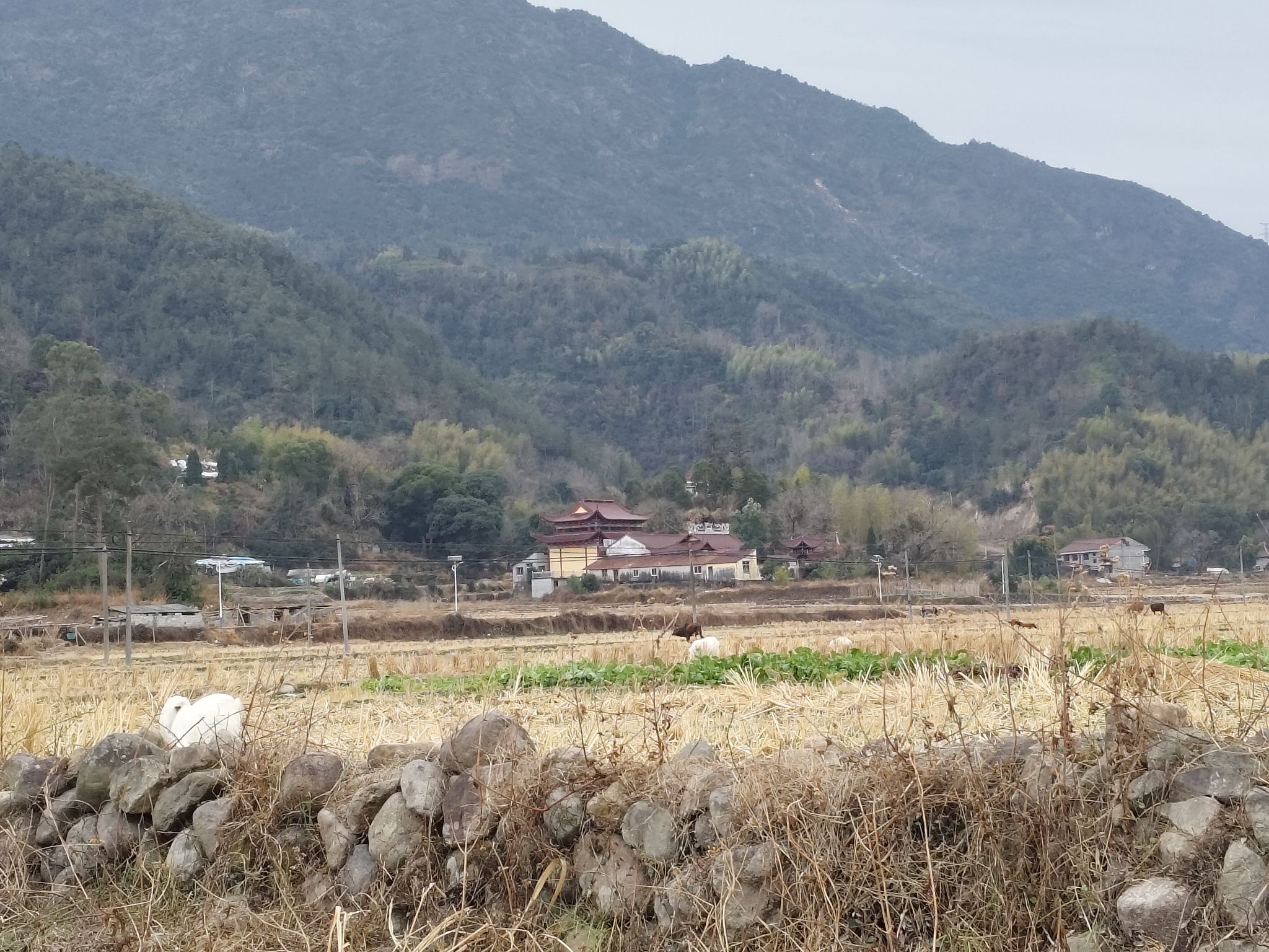 灵法寺实景照片