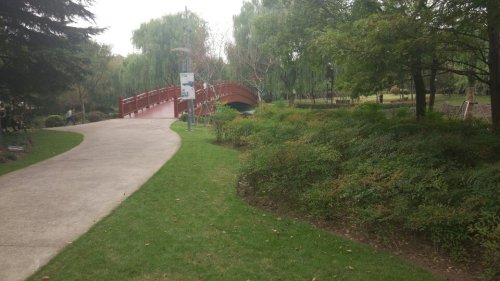 新成公园旅行图片 2
