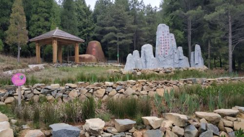 晋江源头东溪湿地森林公园旅行图片 1