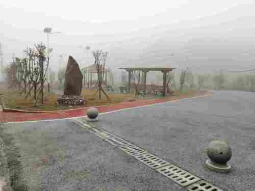 乡村森林公园旅行图片 1