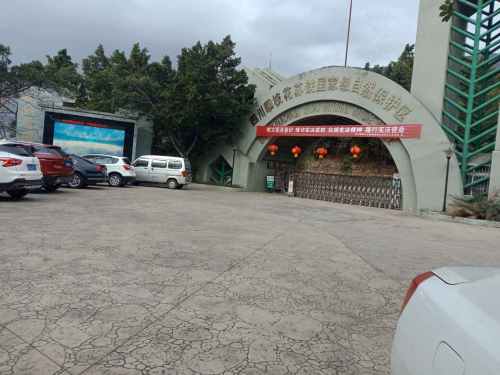 攀枝花苏铁自然保护区旅行图片 3