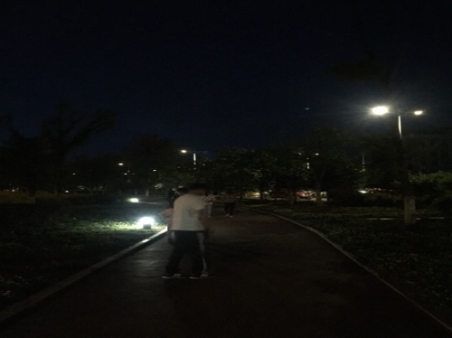 铁岭体育公园旅行图片 2