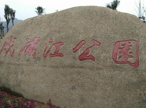 鹿城戍浦江公园旅行图片 1