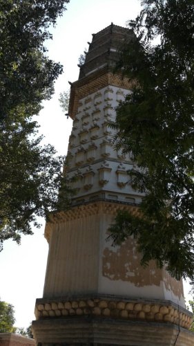 修德寺塔旅行图片 2