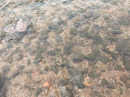 哈河源漂流旅行图片 3