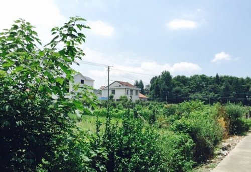 芦山公园旅行图片 1