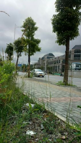 四季贵州山地旅游公园(建设中)旅行图片 1