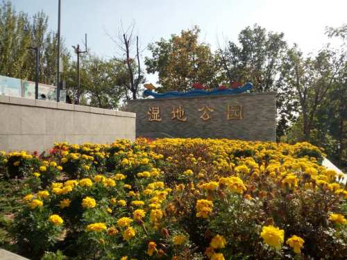 蒲河国家湿地公园旅行图片 1