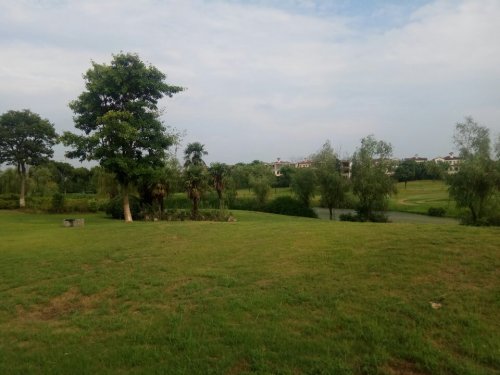 江宁大学城公园旅行图片 3