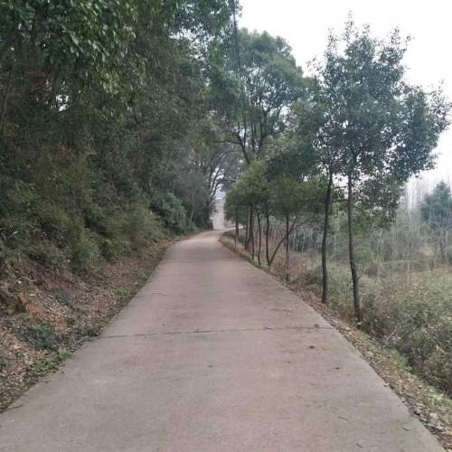 德山公园旅行图片 1